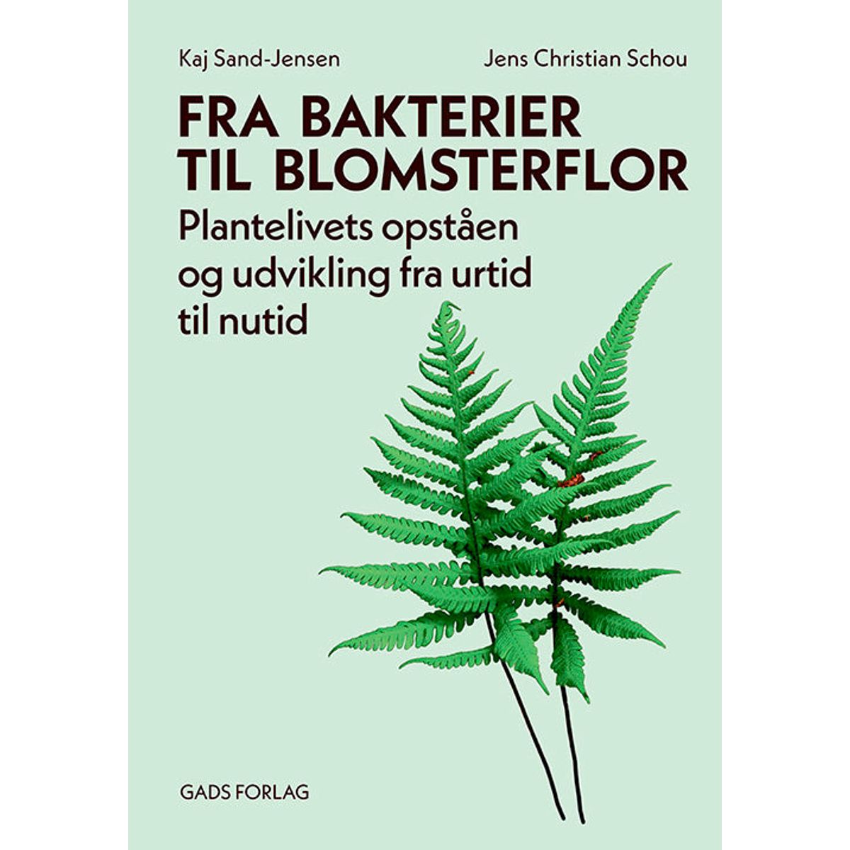 Fra bakterier til blomsterflor