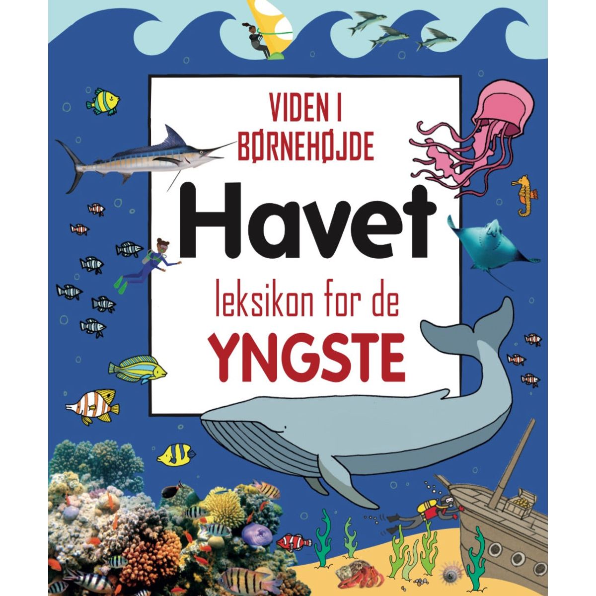 Havet - leksikon for de yngste