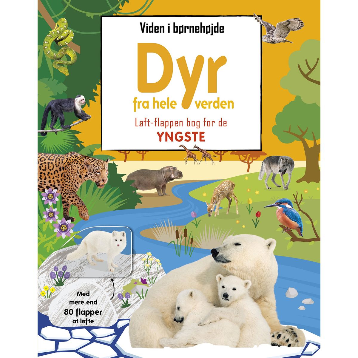 Viden i børnehøjde - Dyr fra hele verden