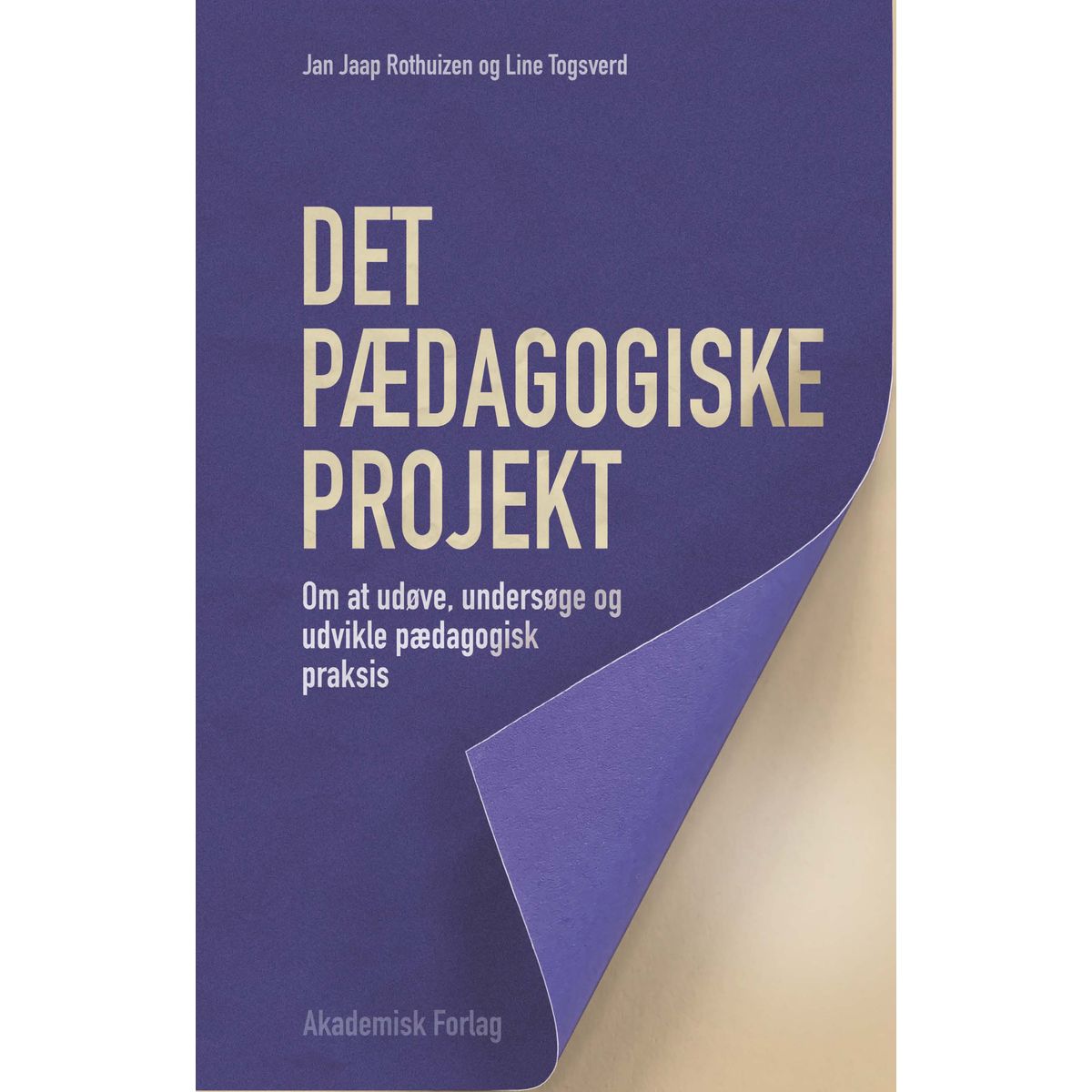 Det pædagogiske projekt