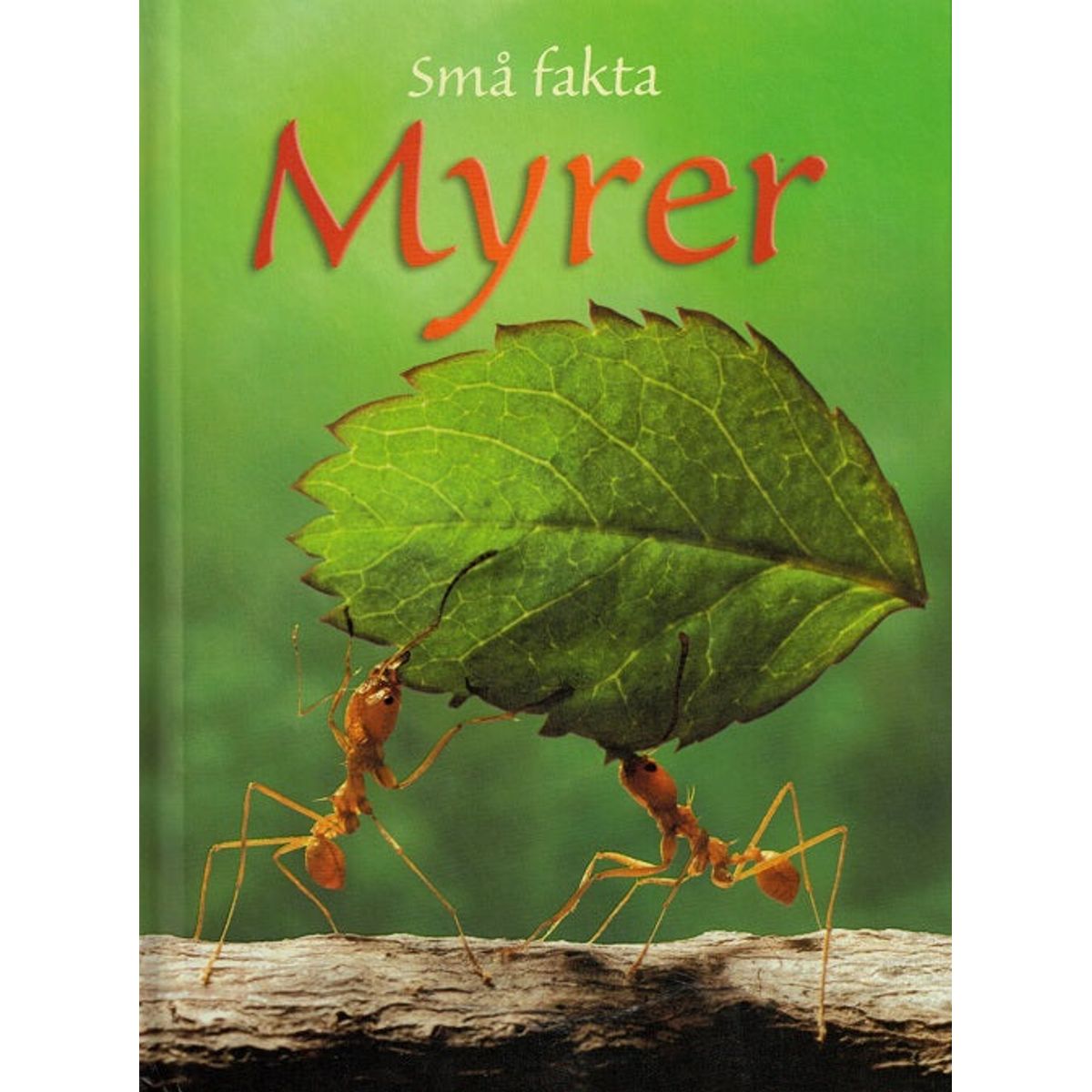 Små fakta: Myrer