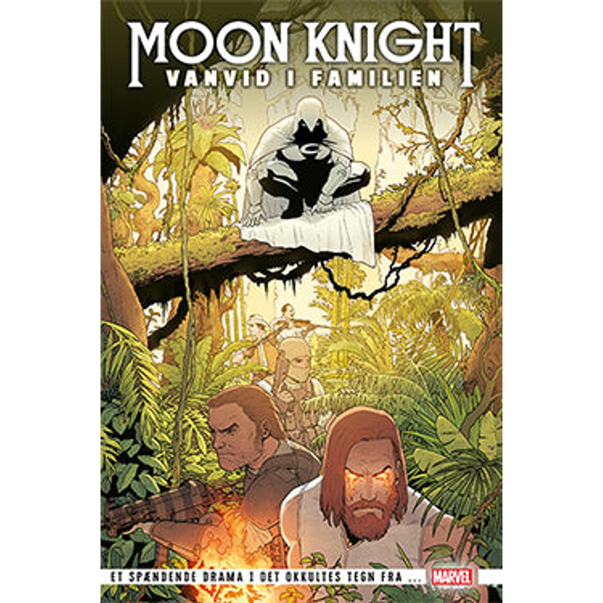 Moonknight: Vanvid i familien