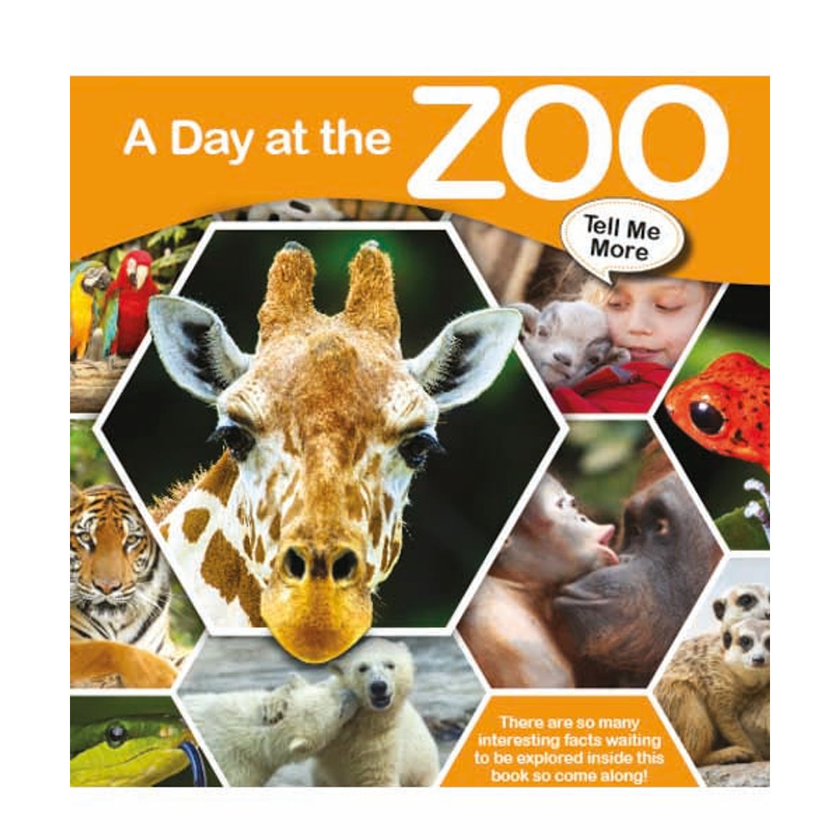 Tell Me More - A Day at the Zoo