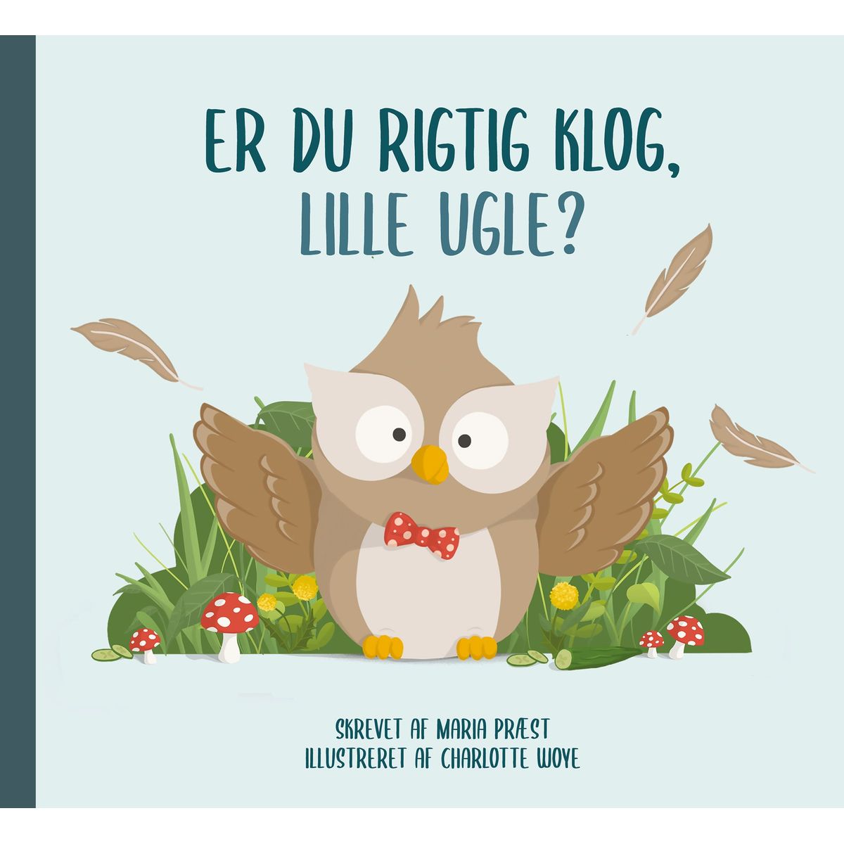 Er du rigtig klog, Lille Ugle?