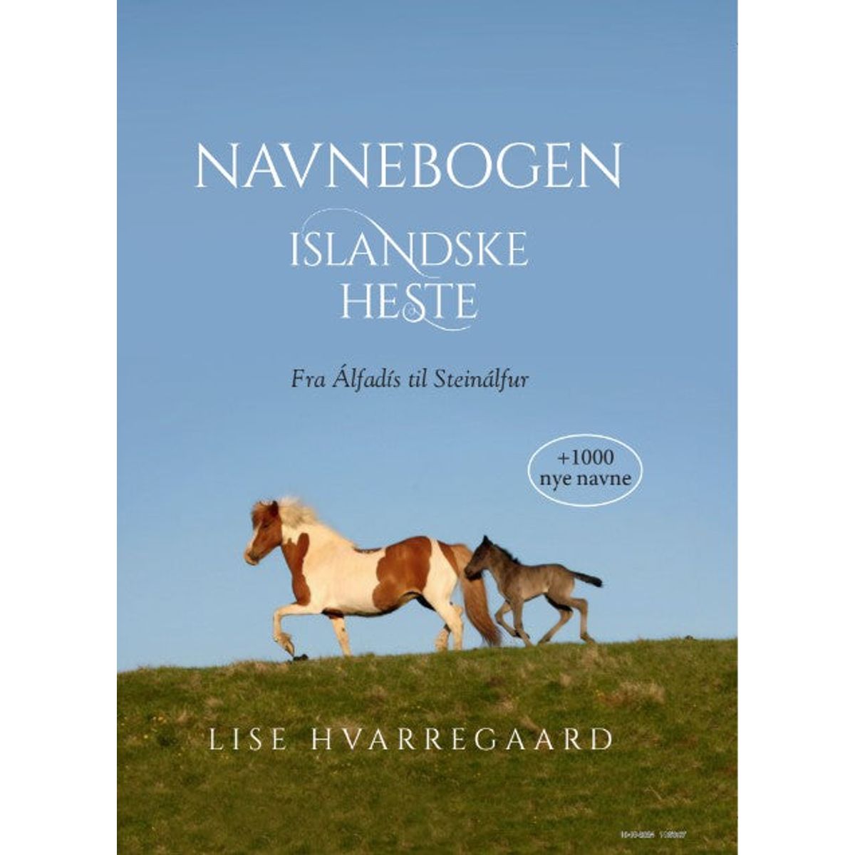 Navnebogen Islandske heste