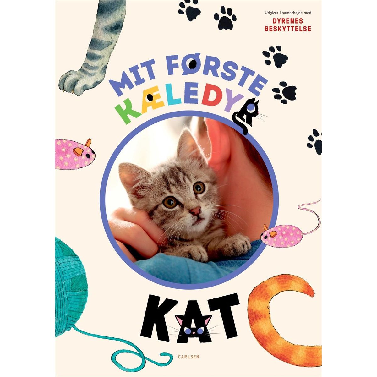 Mit første kæledyr - kat