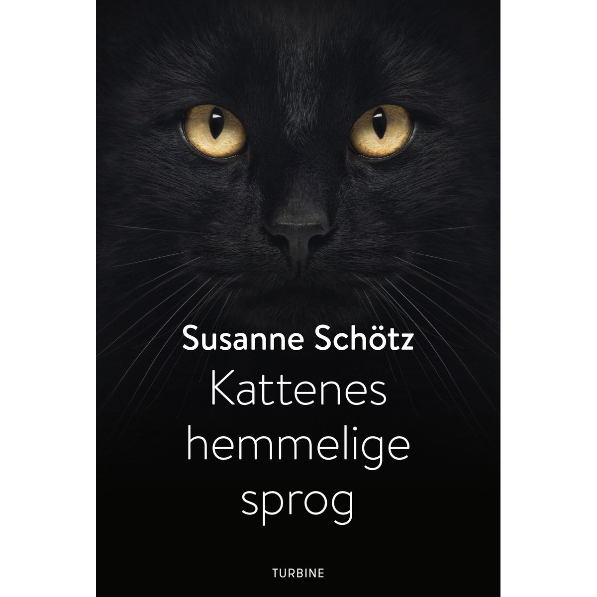 Kattenes hemmelige sprog