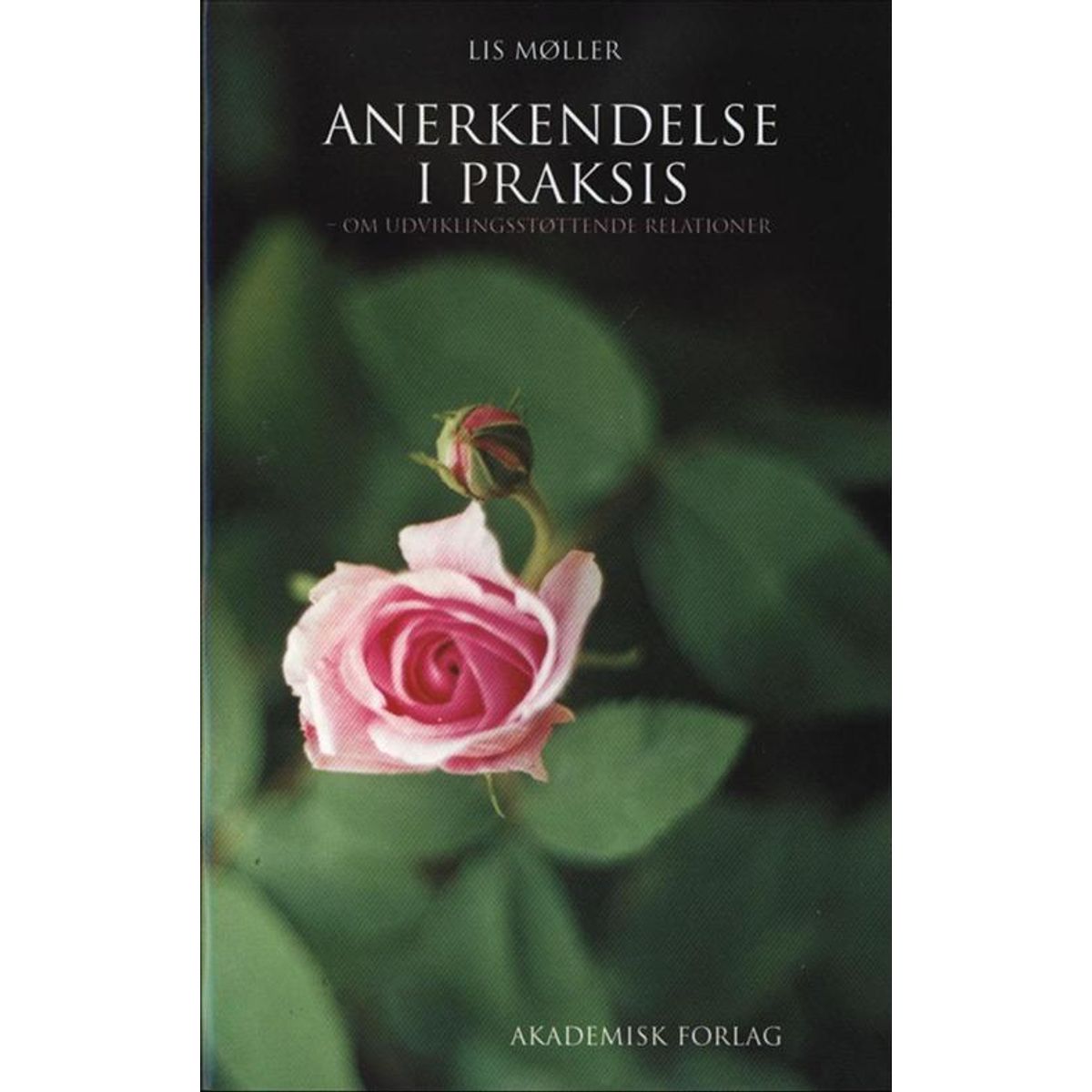 Anerkendelse i praksis