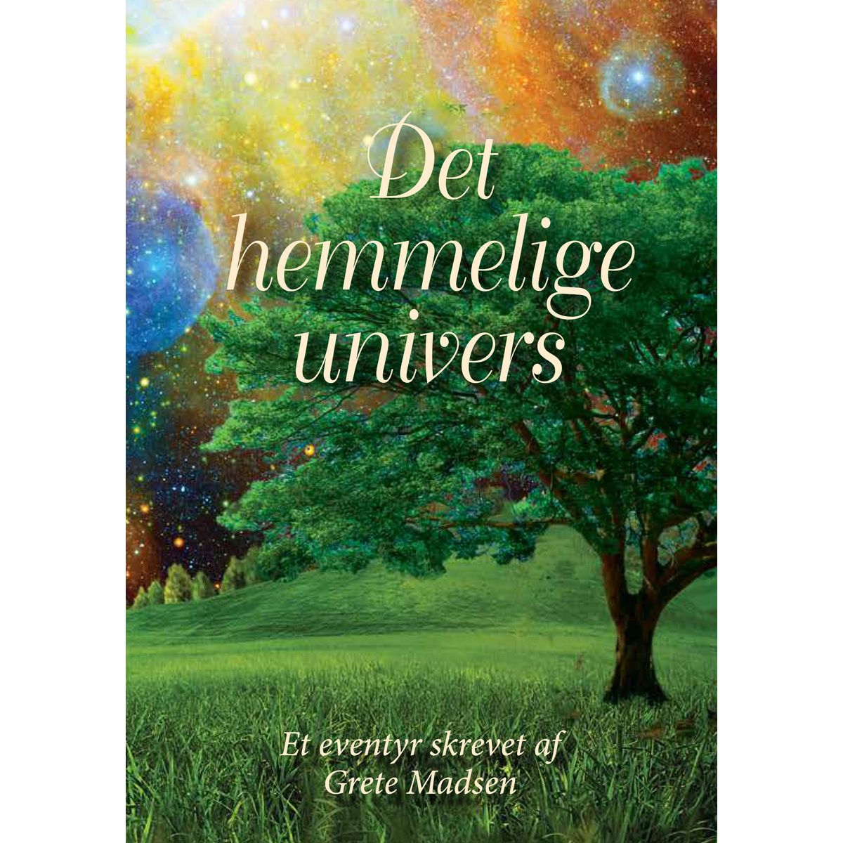 Det Hemmelige Univers