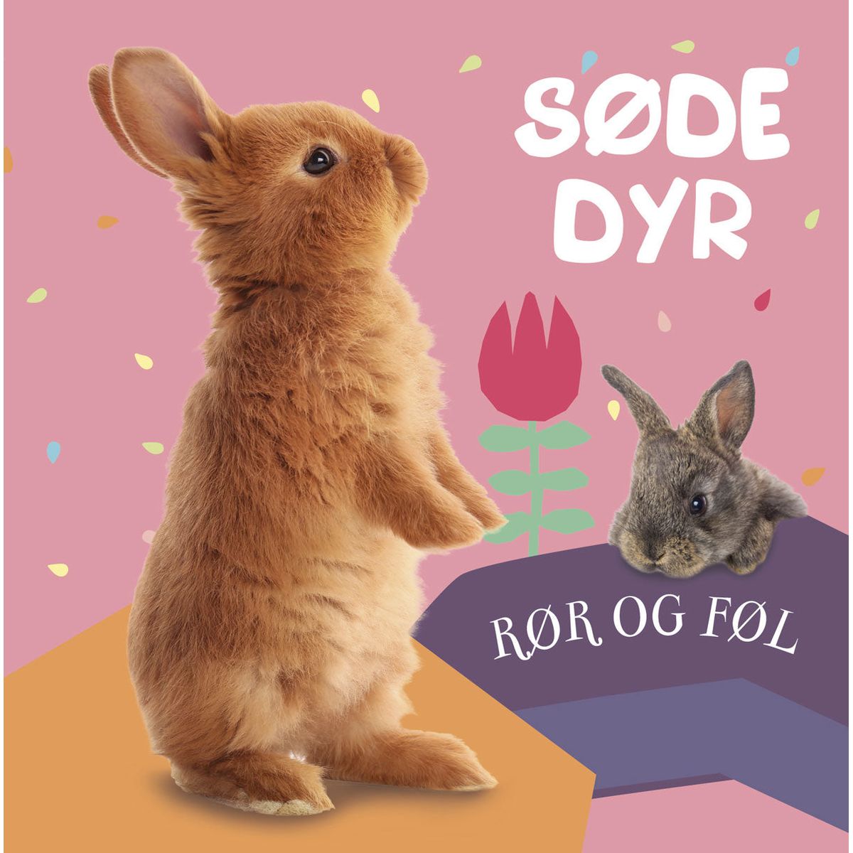 Rør og føl: Søde dyr