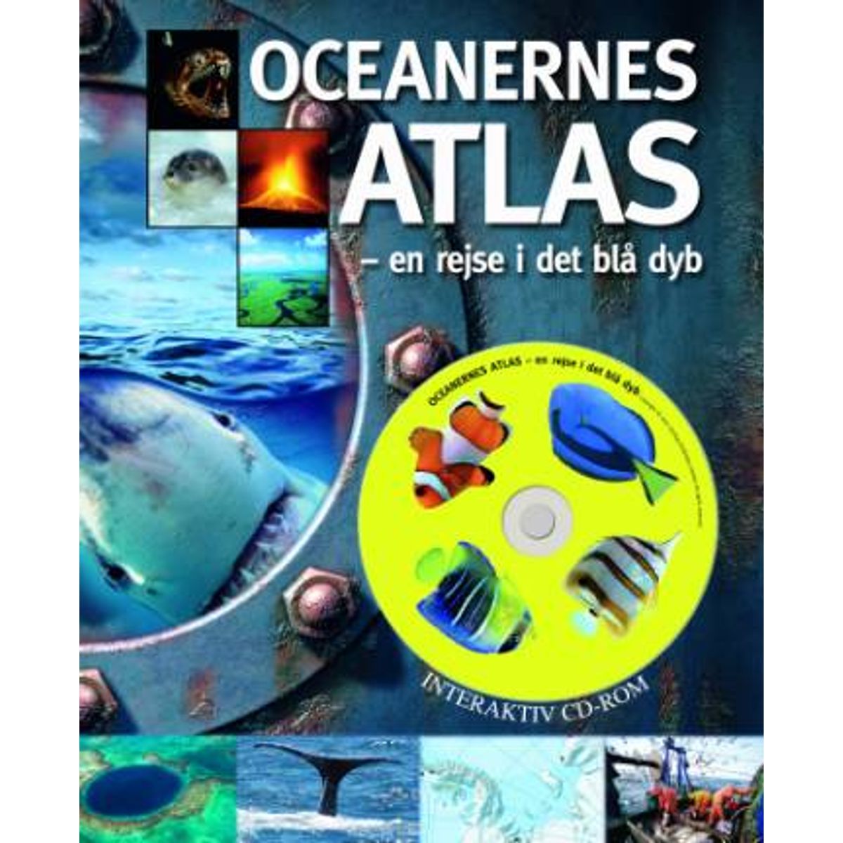 Oceanernes Atlas - En Rejse i Det Blå Dyb