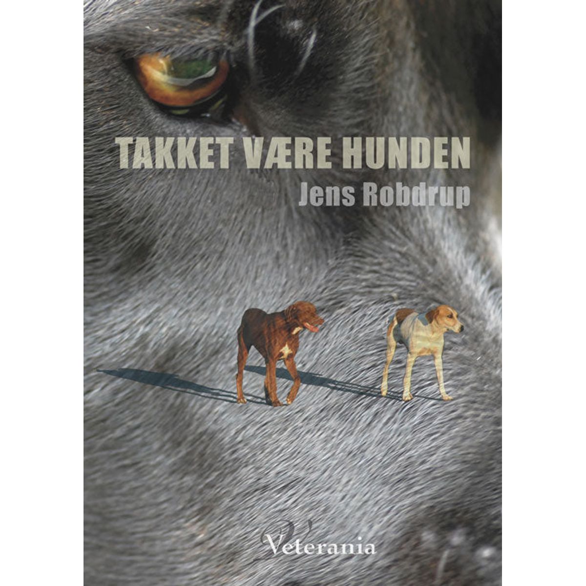 Takket være hunden