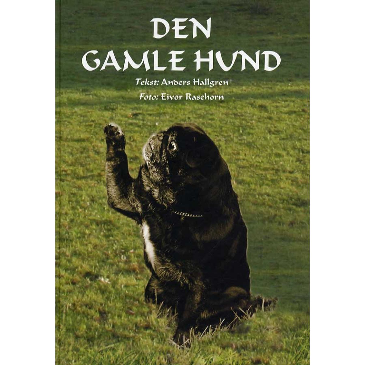 Den gamle hund