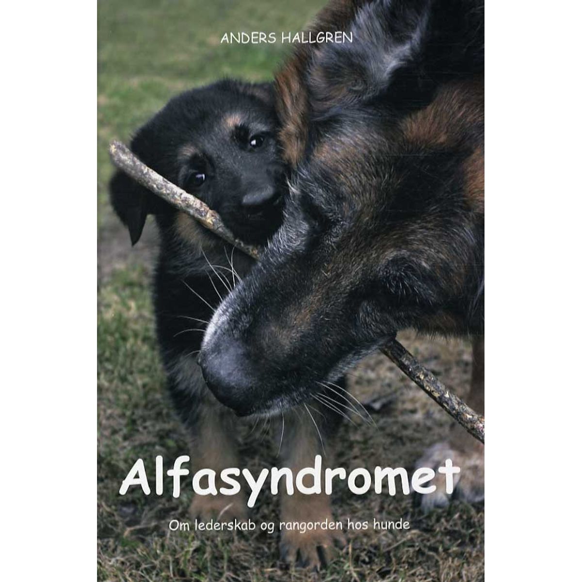 Alfasyndromet