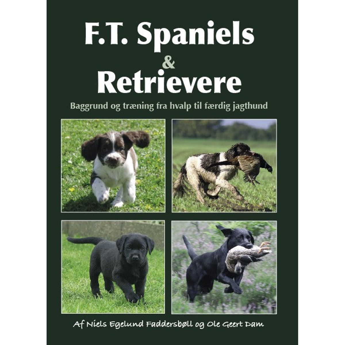 F.T. Spaniels & Retrievere