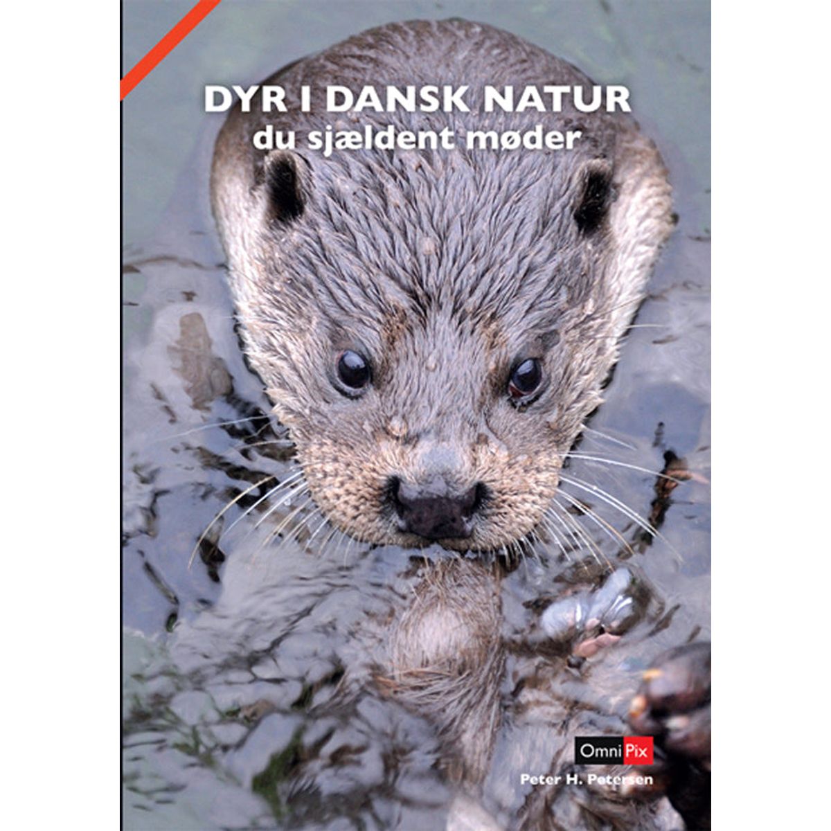 DYR I DANSK NATUR