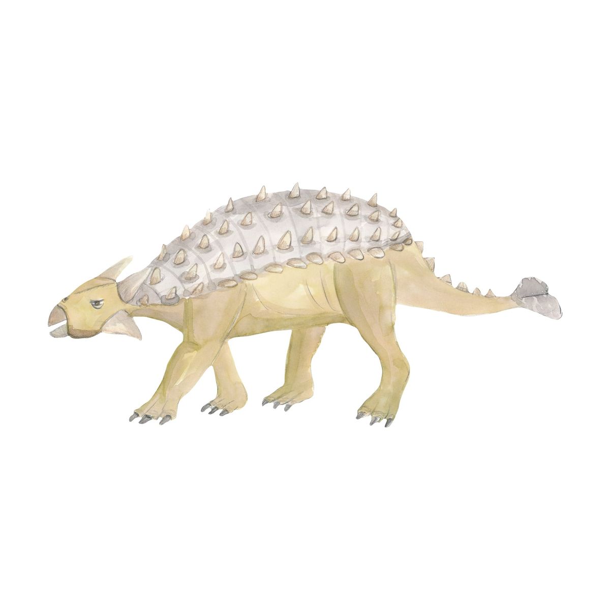 That's Mine - Wallsticker Ankylosaurus - Brown