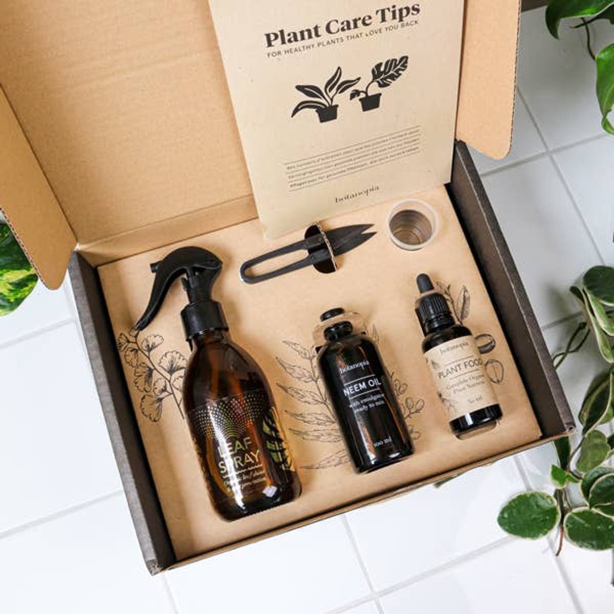 PLANT CARE KIT - PLEJ DINE POTTEPLANTER - BOTANOPIA - spireskål - Botanopia - StudioBuus