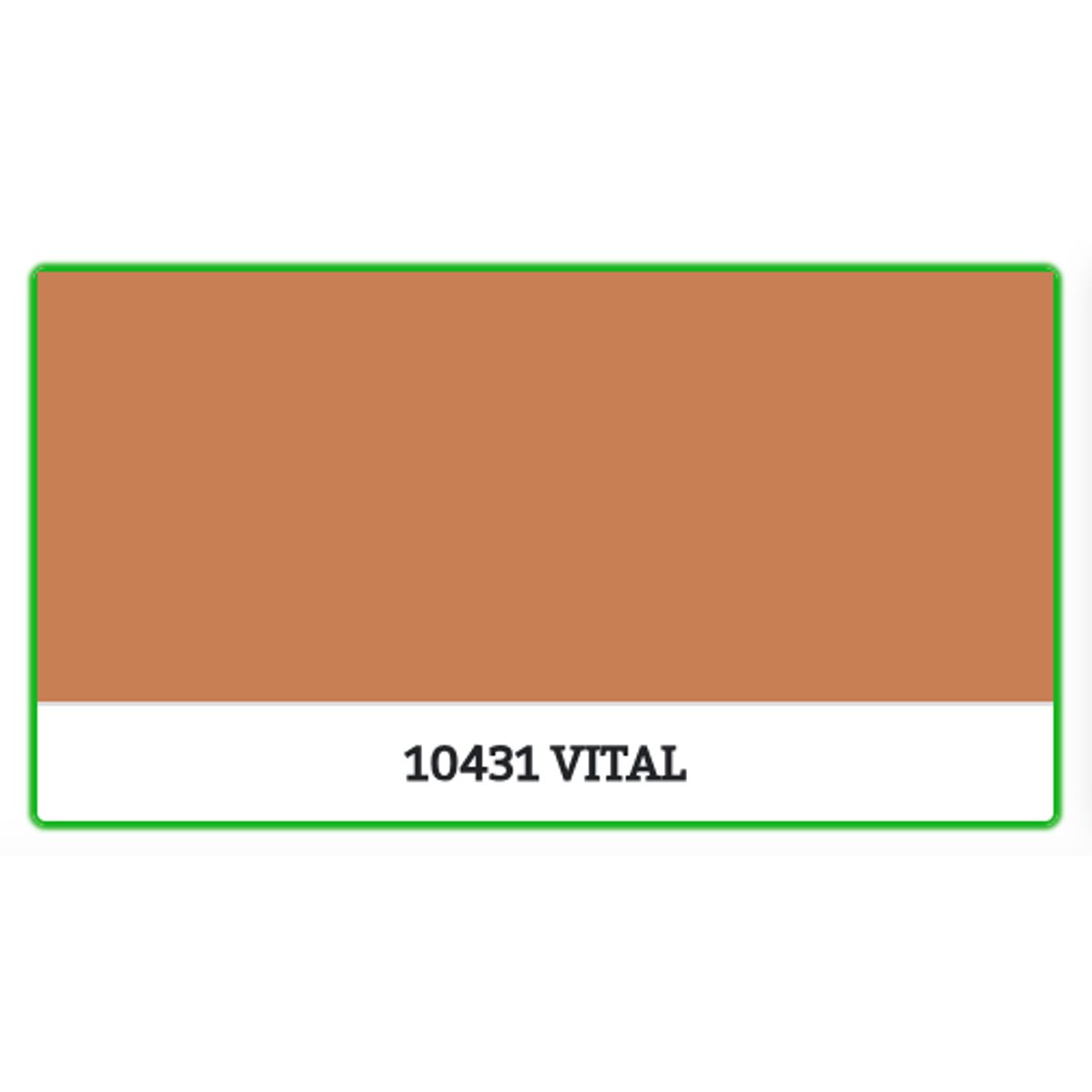 10431 - VITAL - 2.7 L - Maling