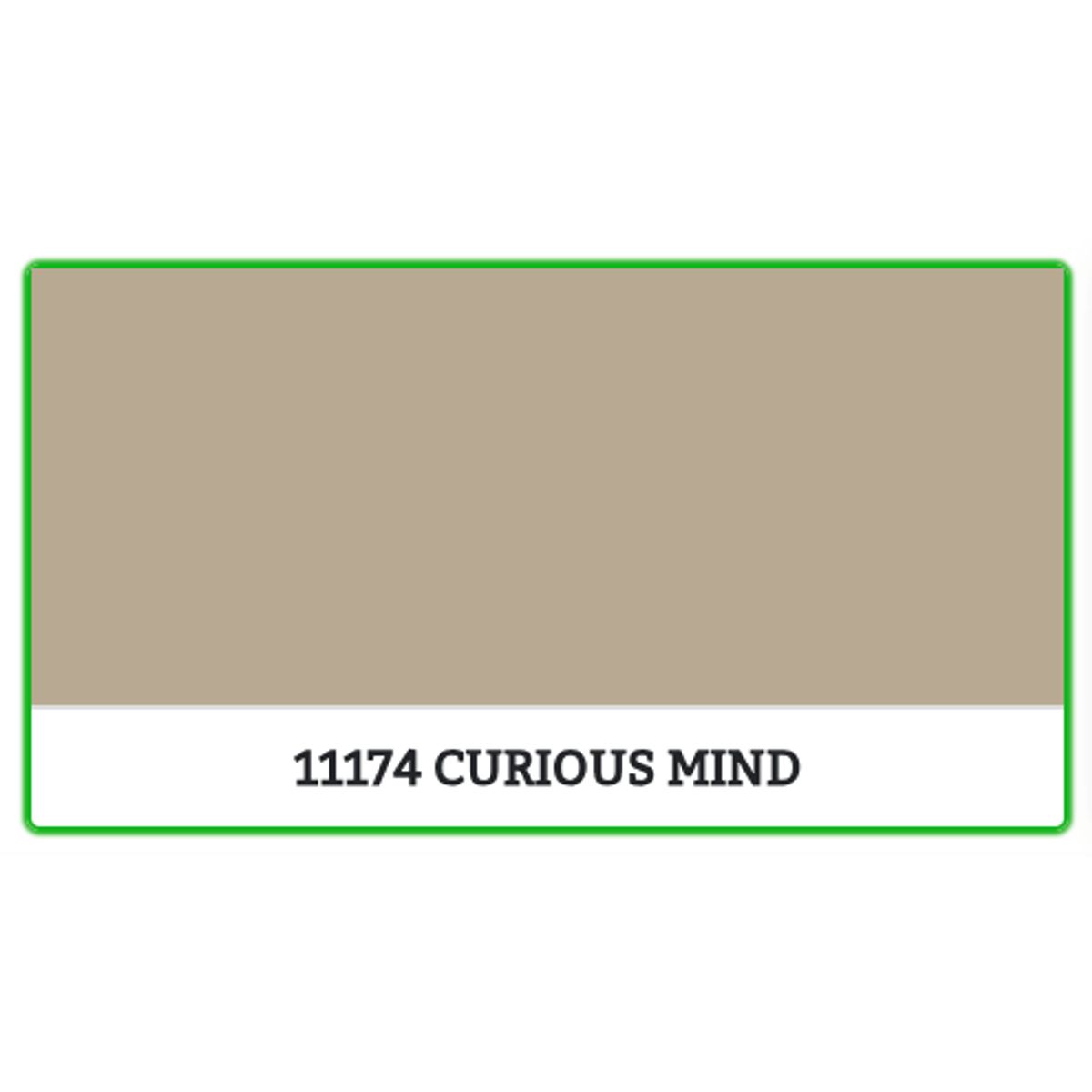 11174 - CURIOUS MIND - 0.45 L - Maling