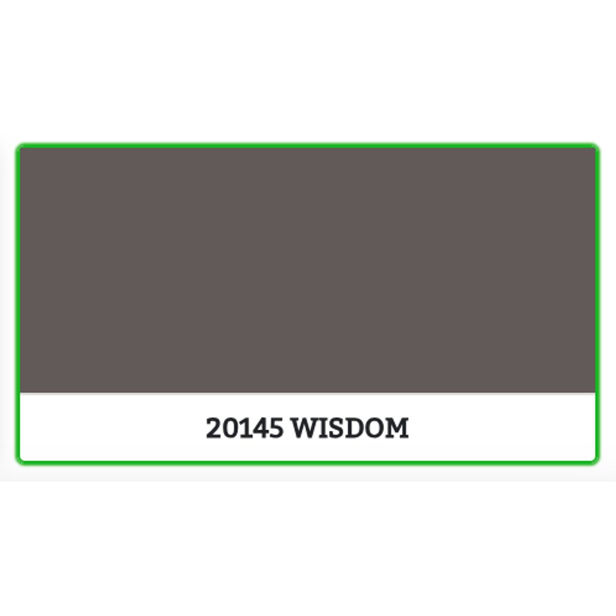 20145 - WISDOM - 2.7 L - Maling