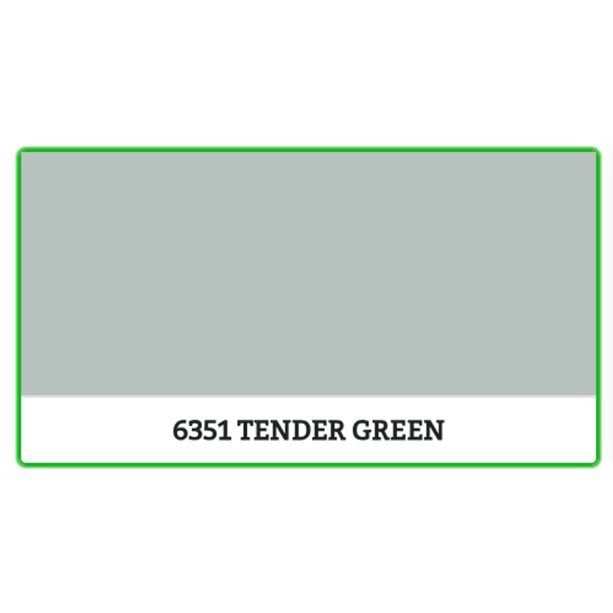 6351 - TENDER GREEN - 0.45 L - Maling