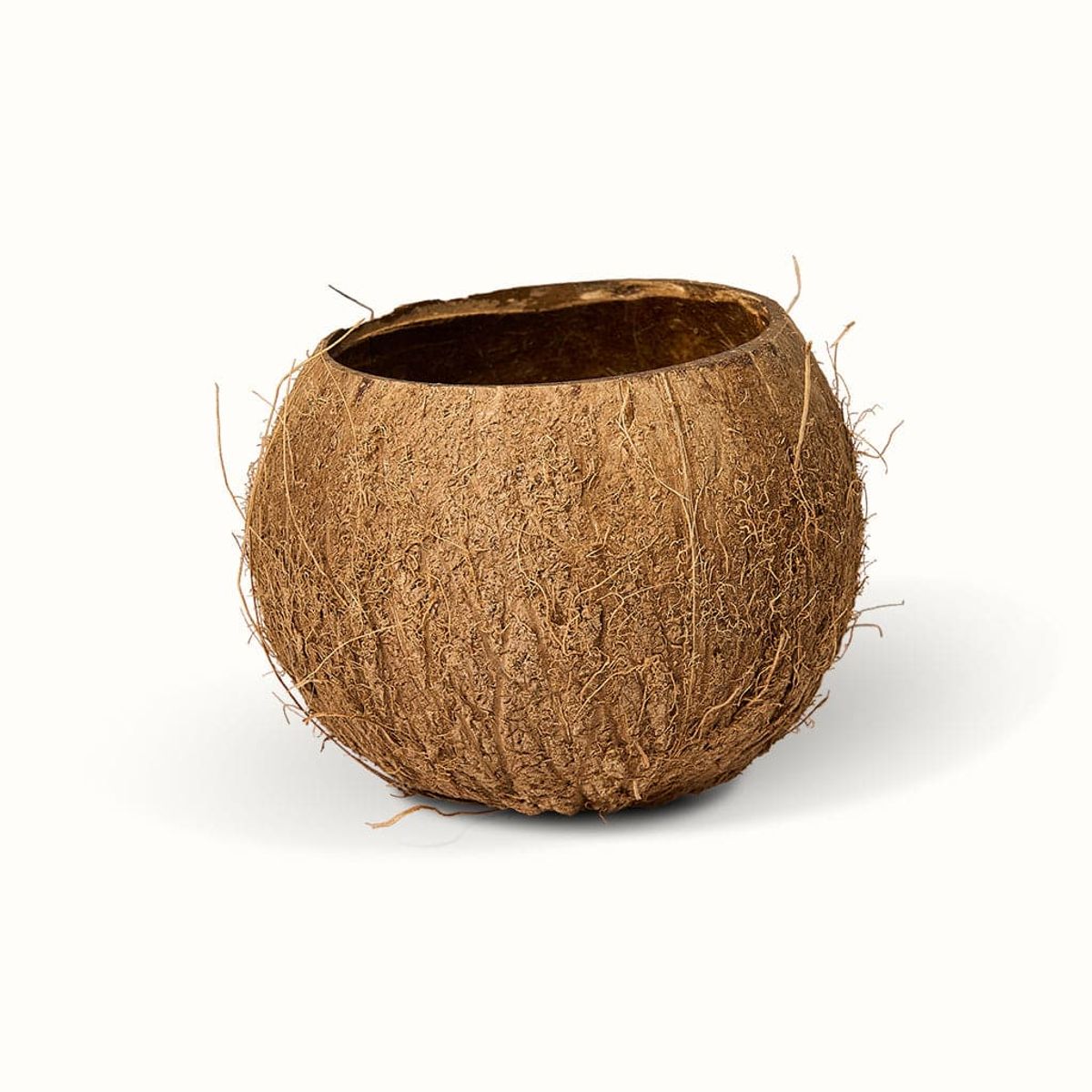 Coconut (Potteskjuler) - Mellem (H:11 cm - Ø:9 cm) / Brun