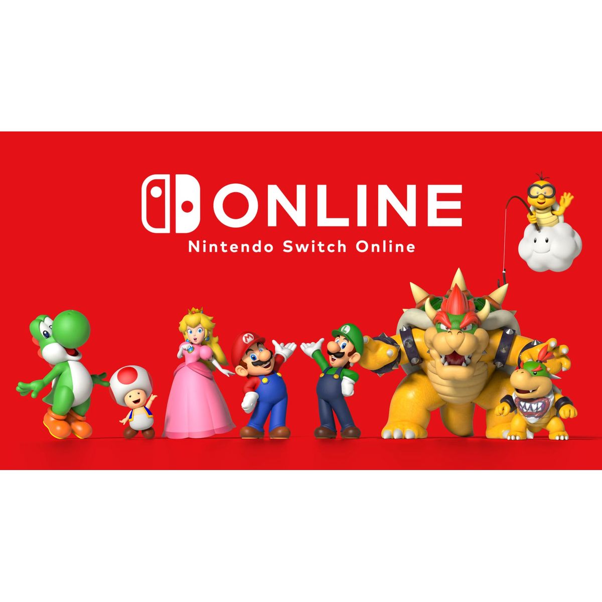 Nintendo Switch Online - 12 Months (365 Days) Individual Membership - EZGame.dk