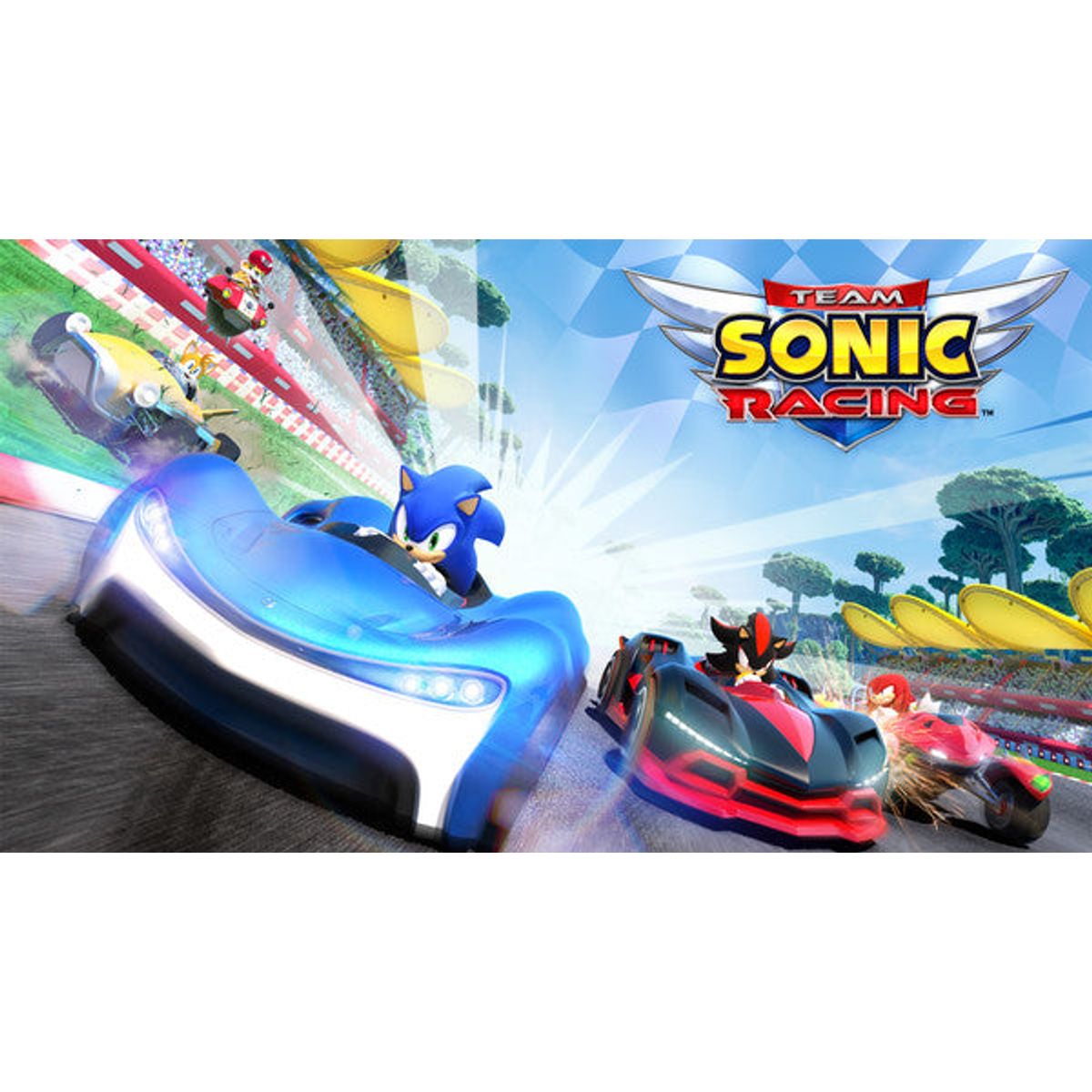 Team Sonic Racing - CD Key - EZGame.dk