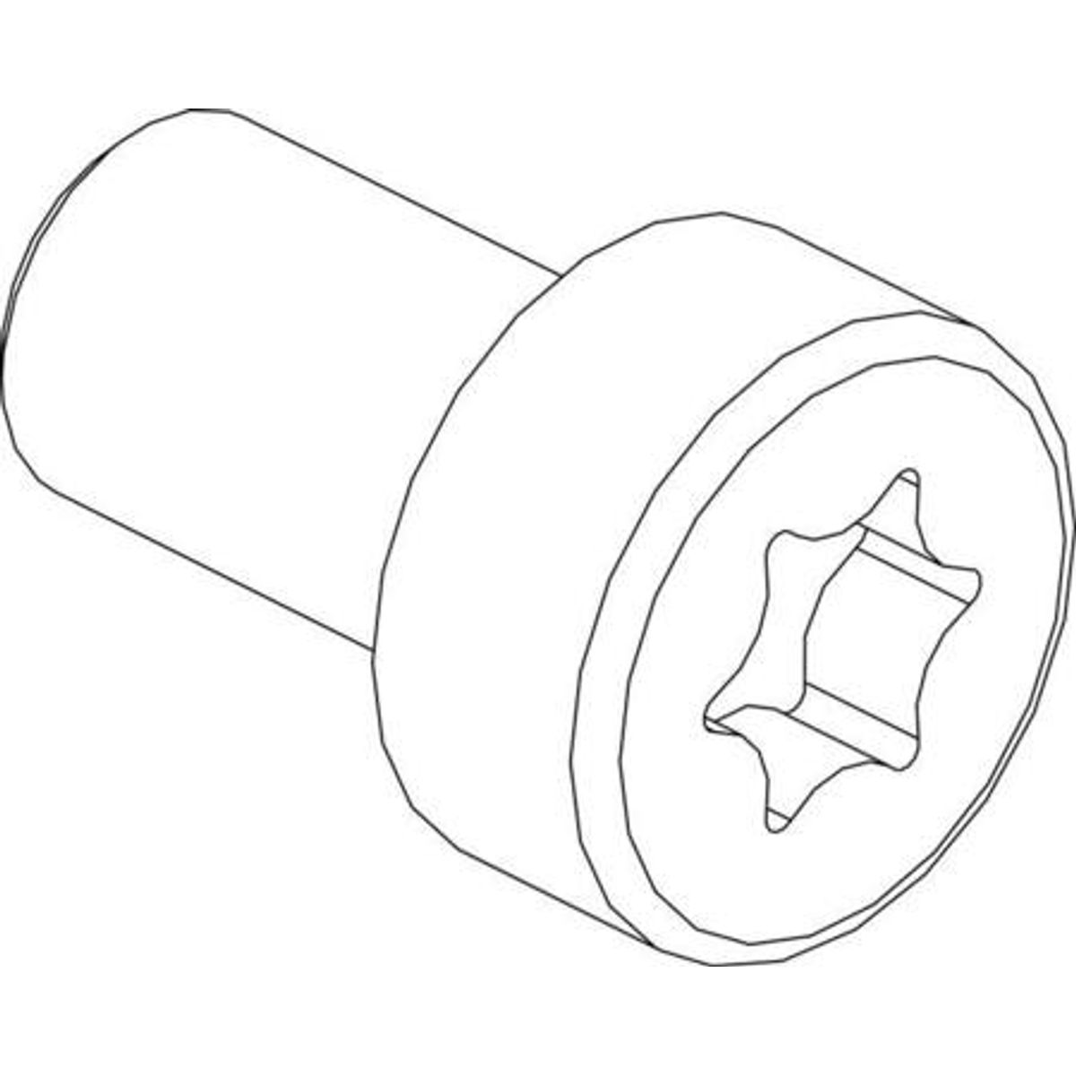 Cylinderskrue, Torx, Lavt Hoved 100 Stk