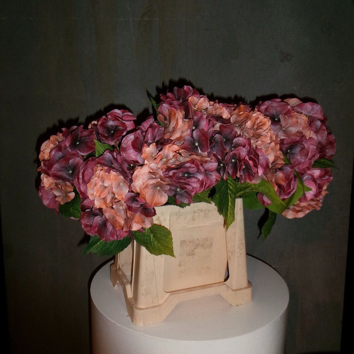 Stor Vintage Hortensia - Bordeaux