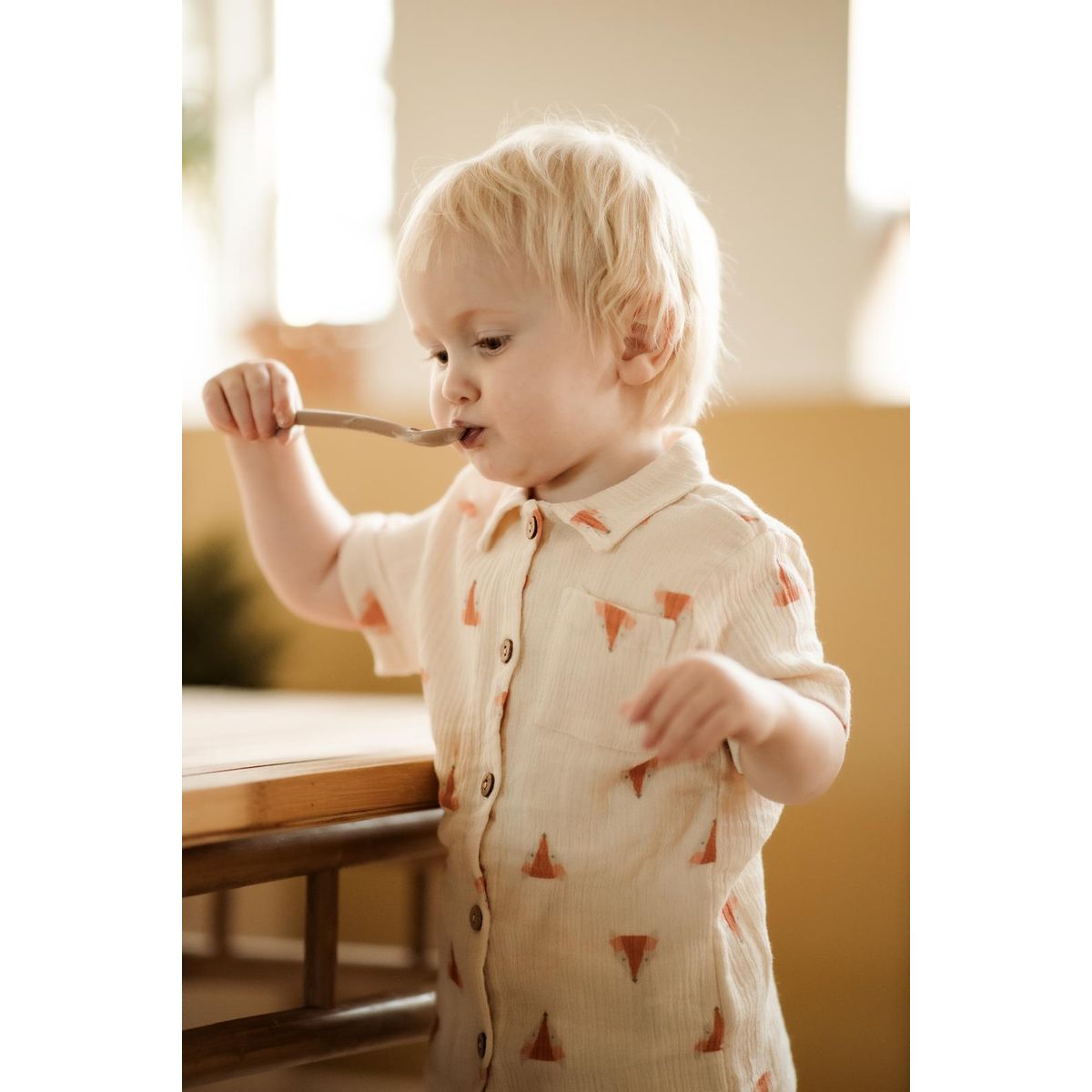 Foxter shirt - Beige / 9-12m - 80cm