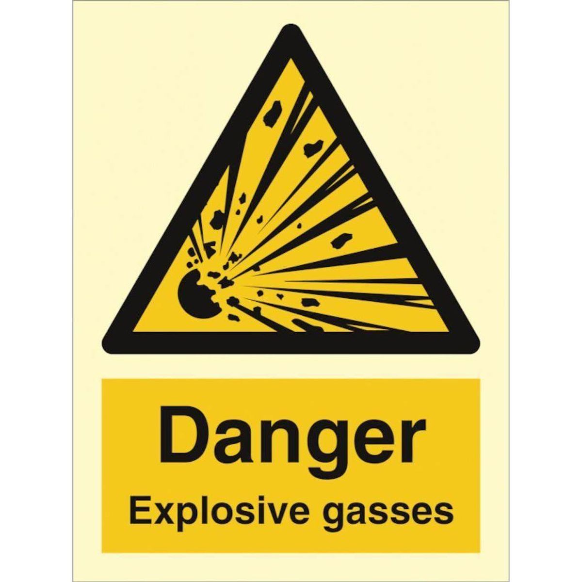 Sign IMO Danger Explosive gasses 107024