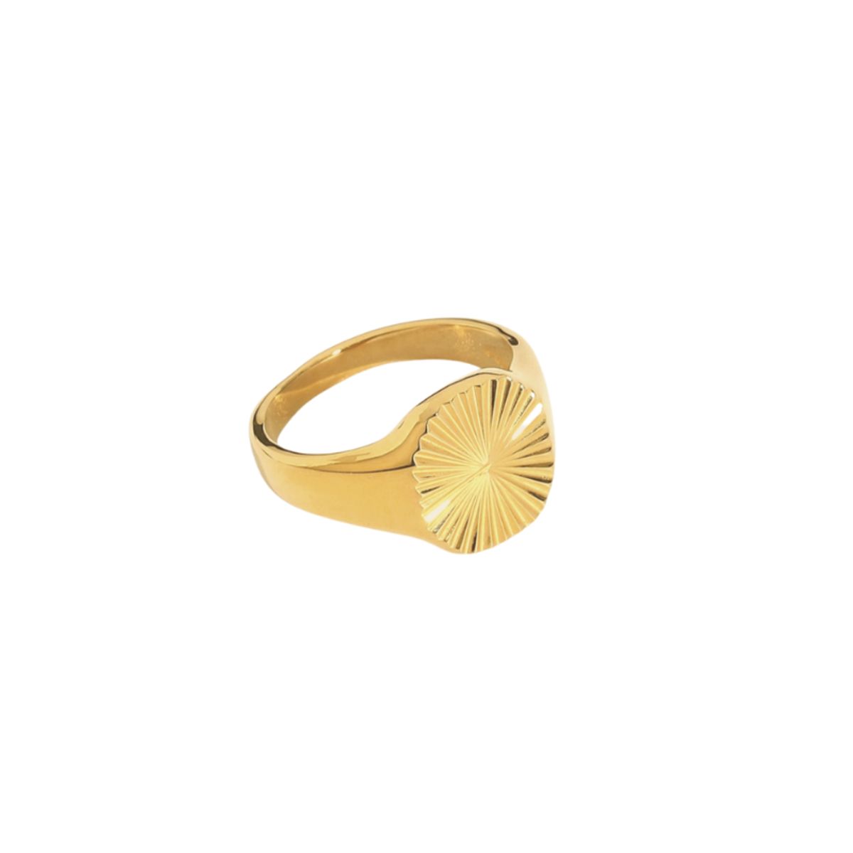 Sunlight Signet Ring 18K Forgyldt - 58