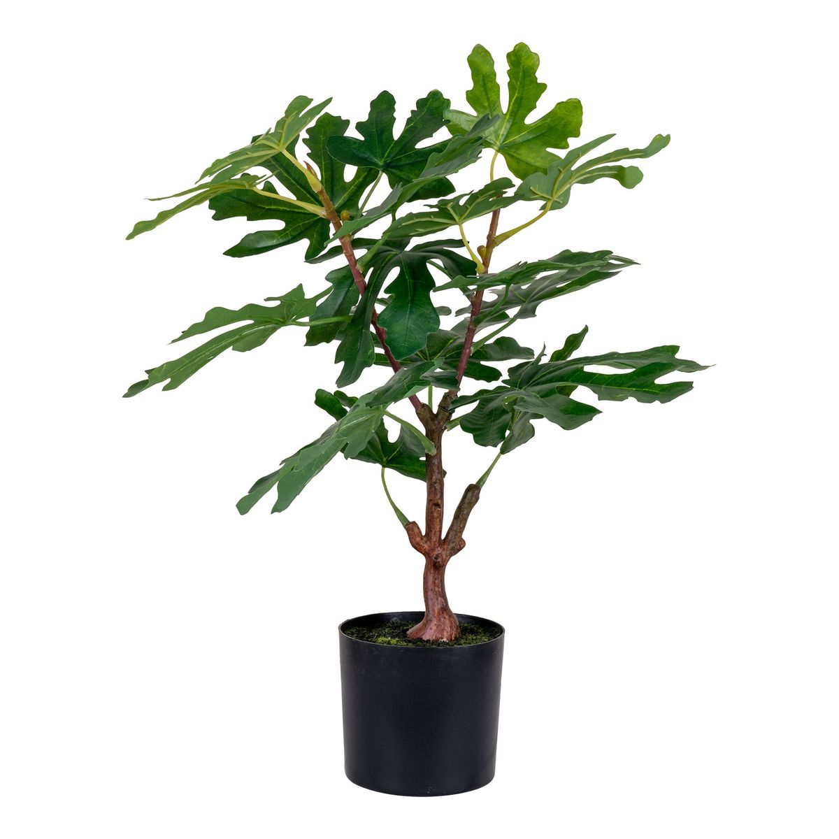 Figentræ - Kunstig Plante, Grøn H:60 Cm