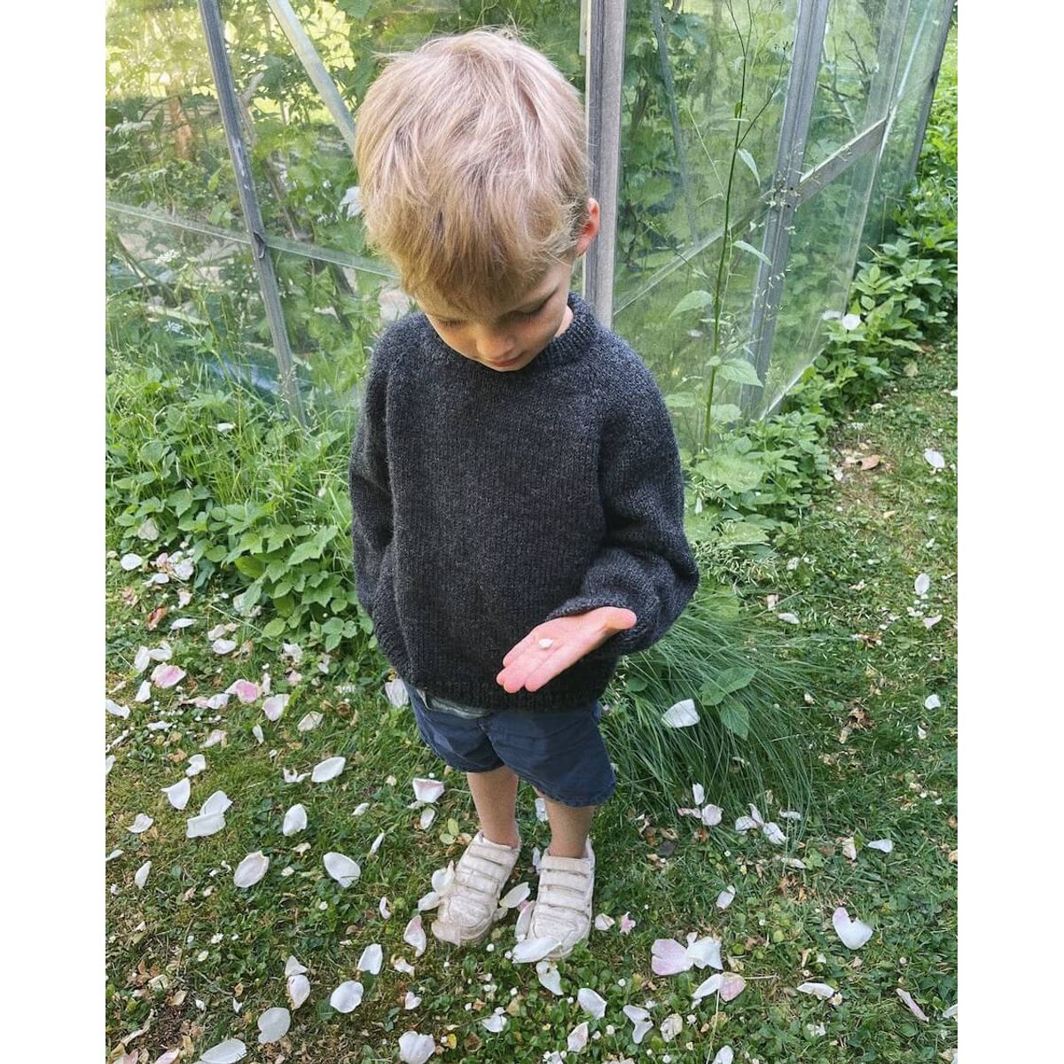 Hanstholm Sweater Junior