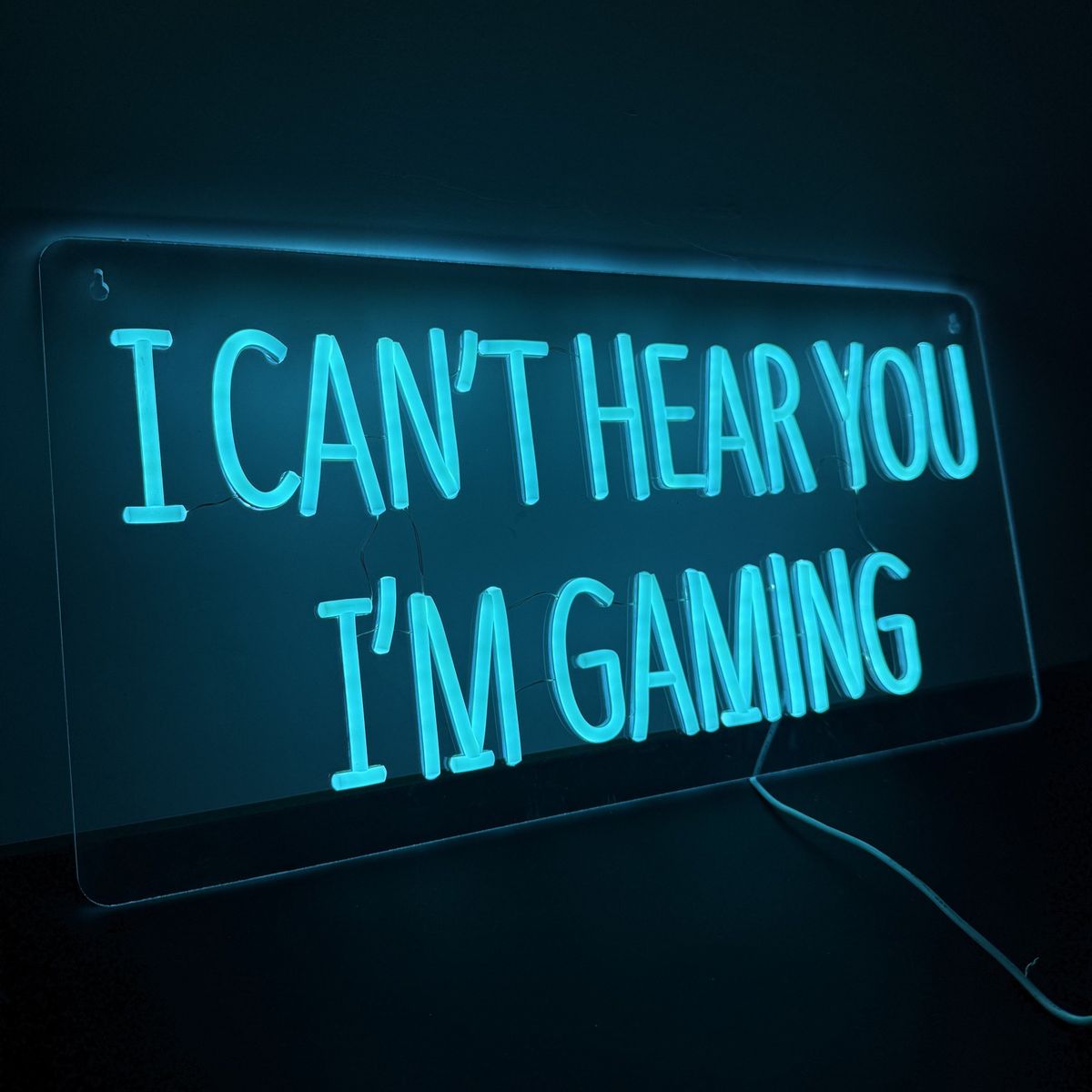 Lightish I Cant Hear You Im Gaming Neon Væglampe