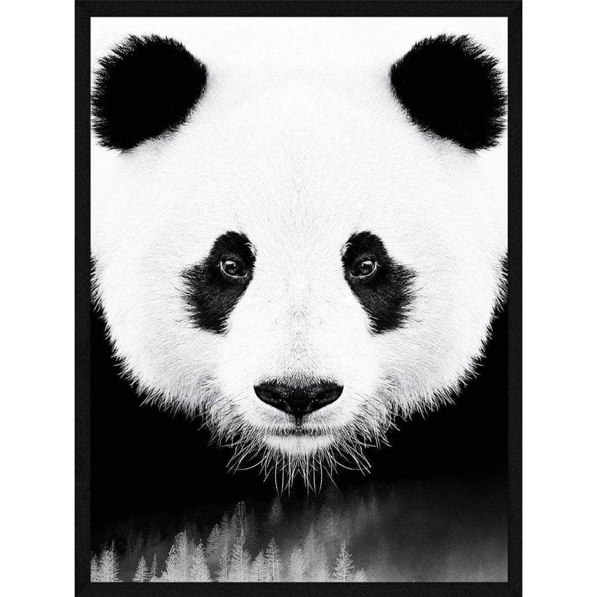 Panda plakat