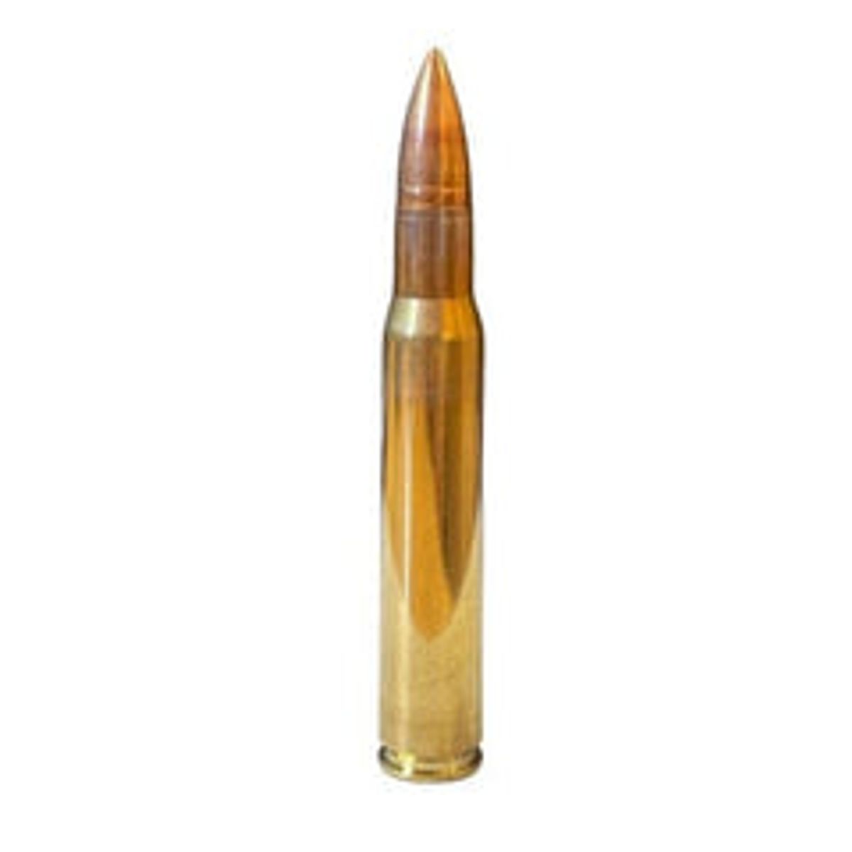 Lapua FMJ 30-06 Spring 8,0g / 123 gr. - 20 stk.