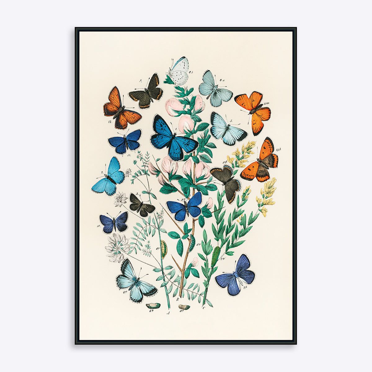 Butterflies - 21x30 cm