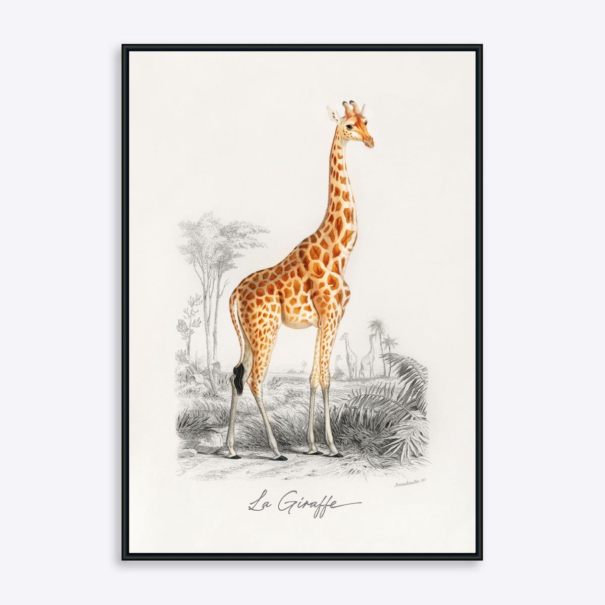 La Giraffe - 21x30 cm