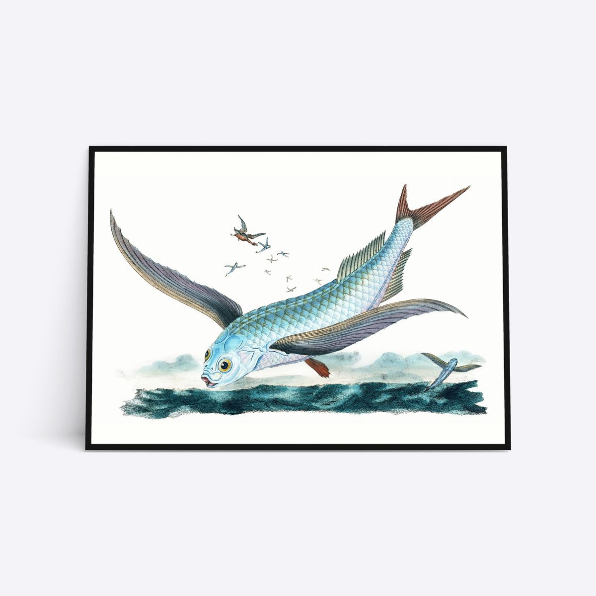 Flying Fish Vol. 2 - 21x30 cm