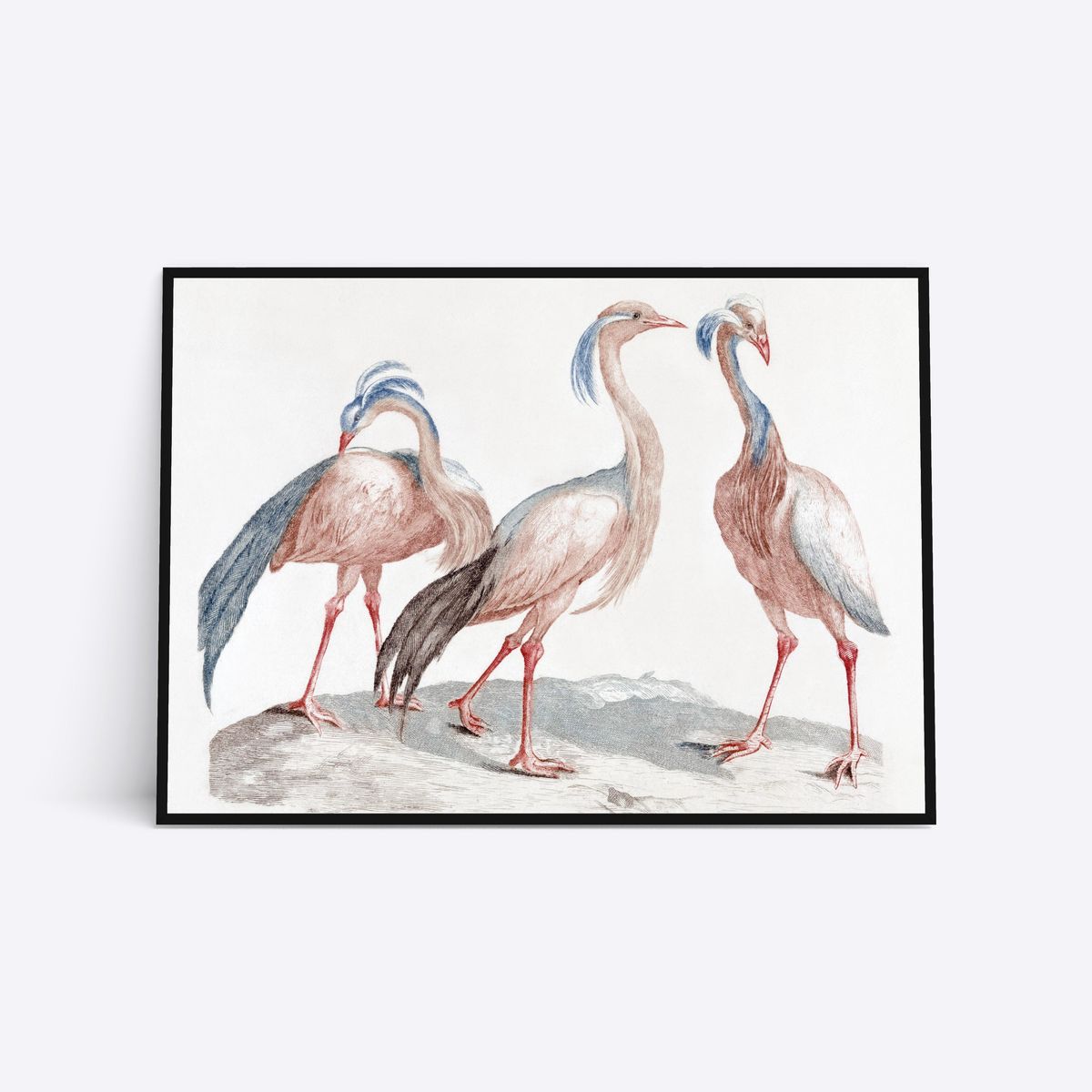 Three Birds - 50x70 cm