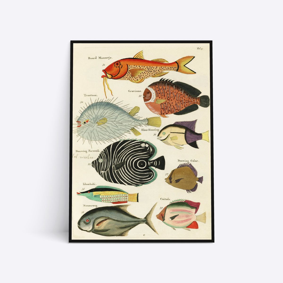 Know Your Fish - 70x100 cm