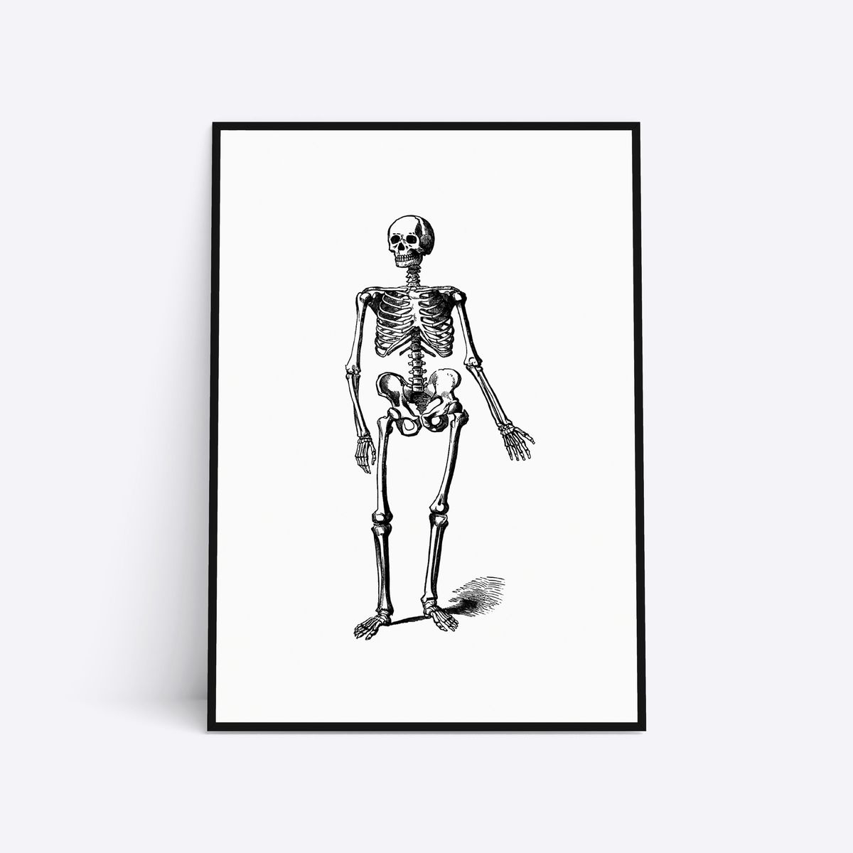 Skeleton - 30x40 cm