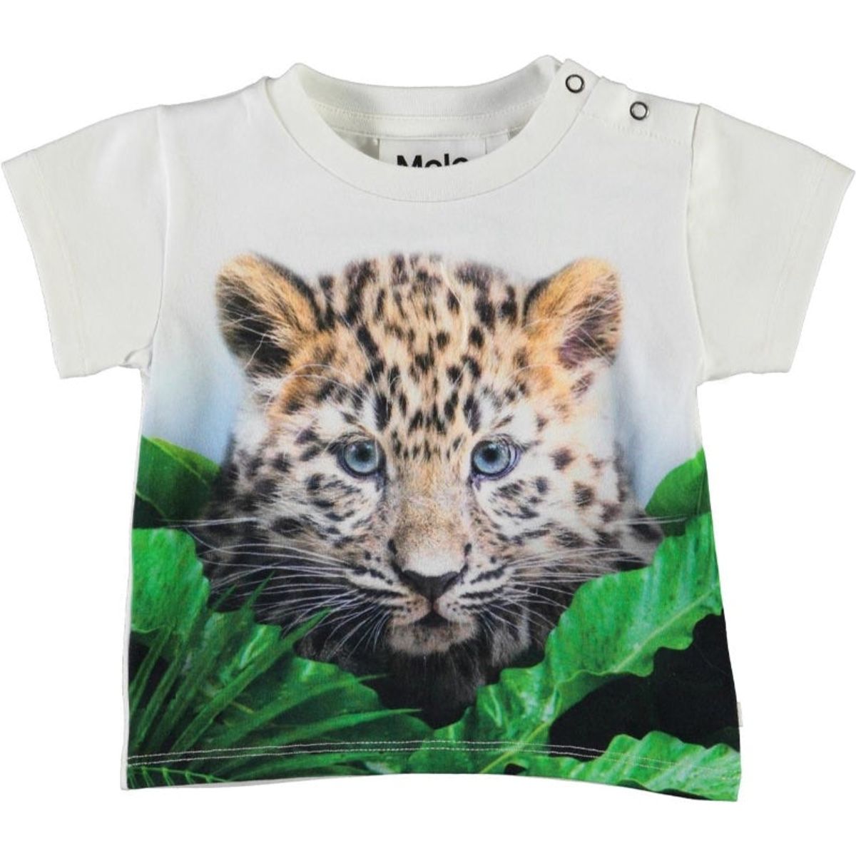 Molo - Emilio T-Shirt - Jungle Cub - 80