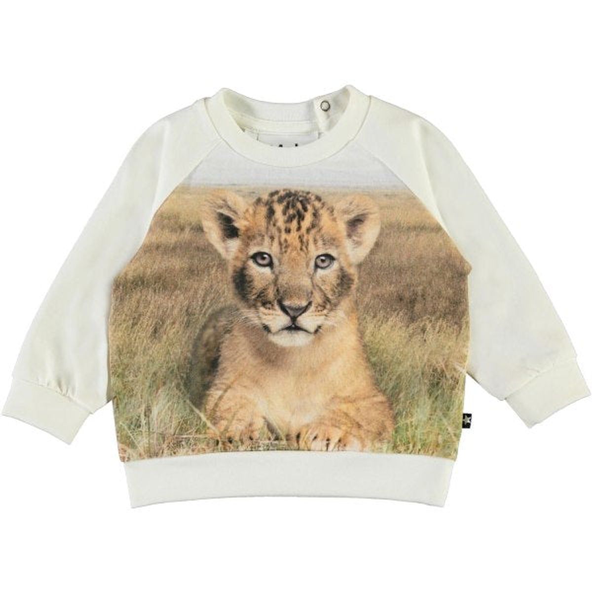 Molo - Esco Bluse - Young Lion - 80