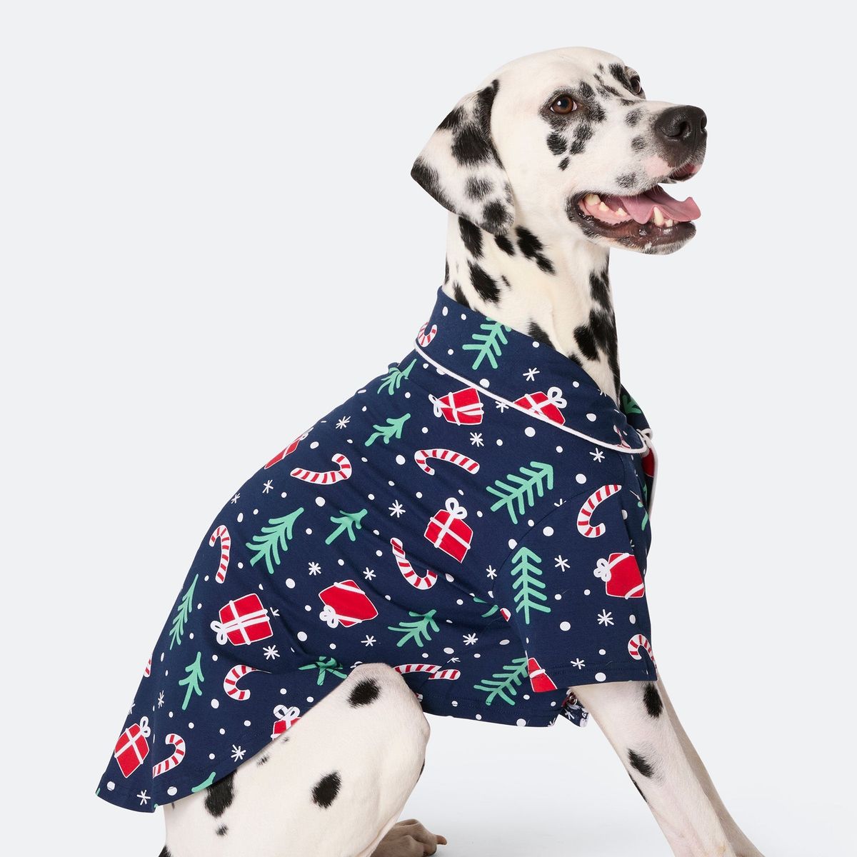 Blå Julemønster Julepyjamas til Hunde