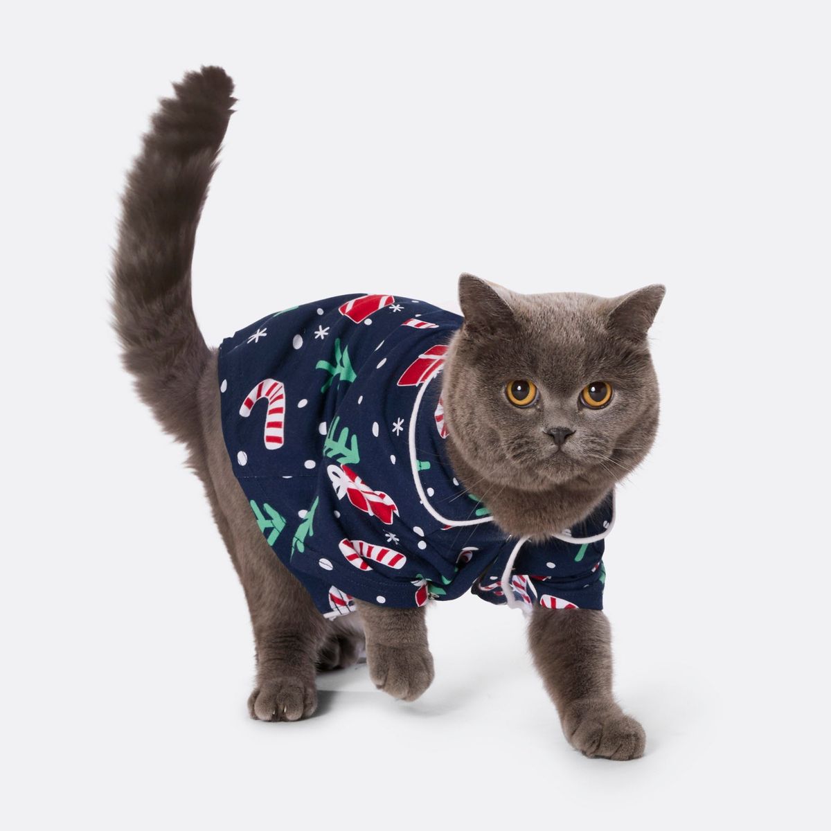 Blå Julemønster Julepyjamas til Katte