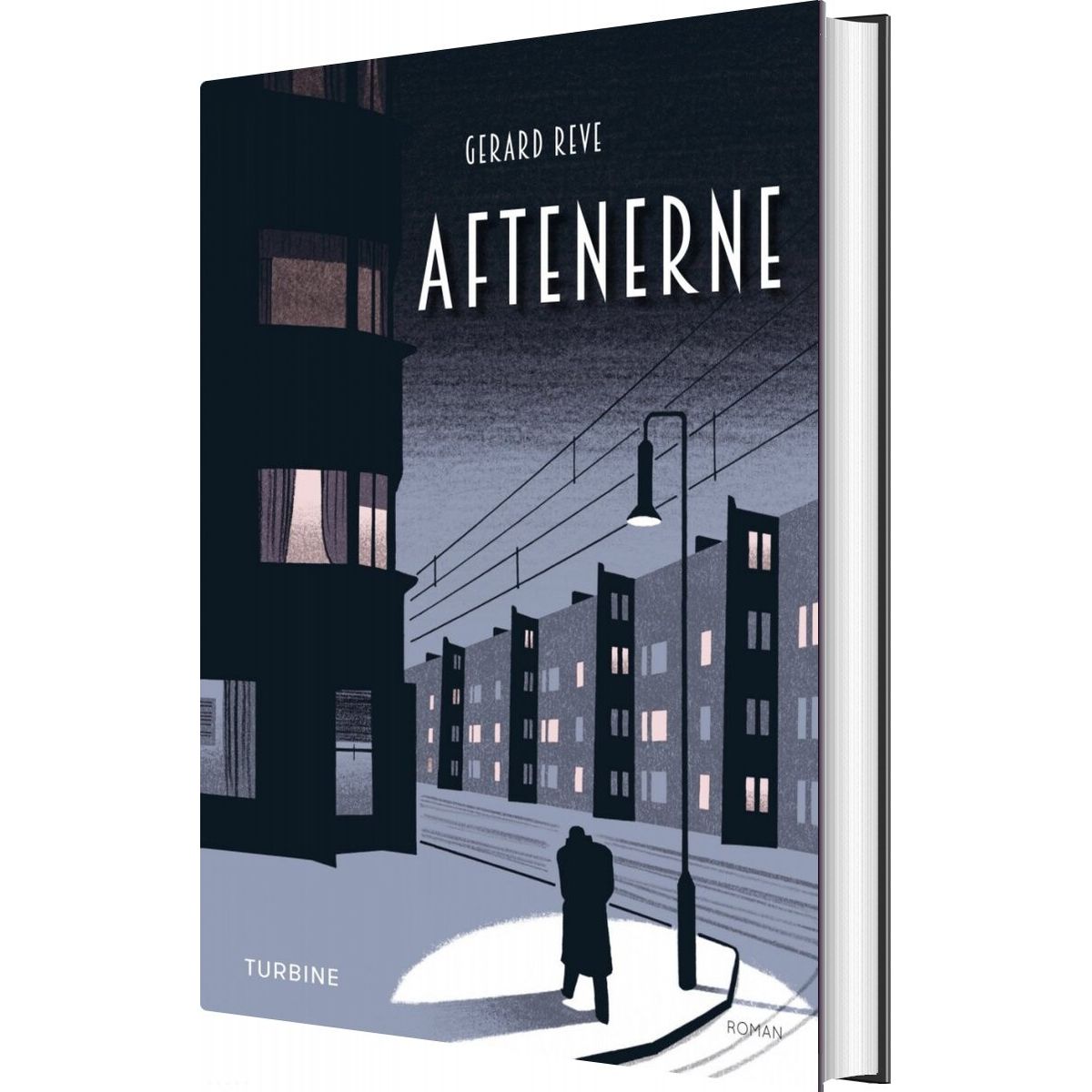 Aftenerne - Gerard Reve - Bog